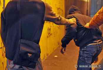 Ragazzo aggredito con calci e bastonate da coetanei a Modena - Agenzia ANSA