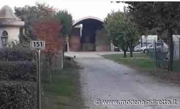 Modena, travolta da una mucca: per la donna ferite lievi - modenaindiretta.it