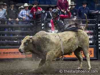 Lambert heads into familiar territory as PBR hits Saskatoon