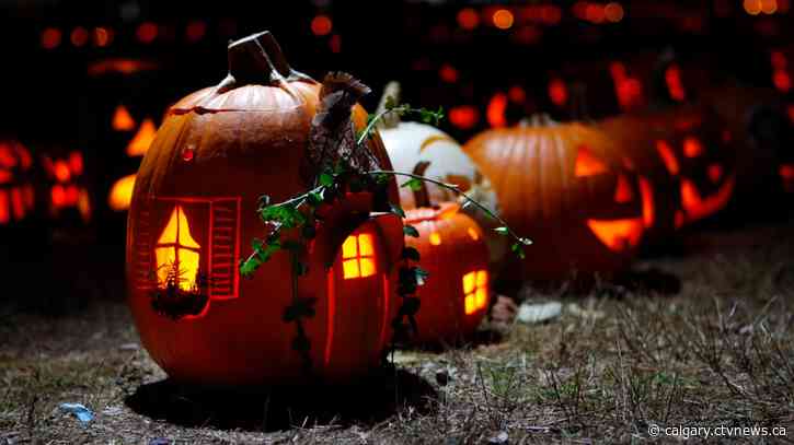 How to celebrate Halloween during Alberta's fourth wave