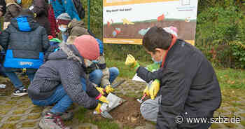 Sindelfingen: Ein Gräberfeld als Abfall-Lernort für Kinder - Sindelfinger Zeitung / Böblinger Zeitung