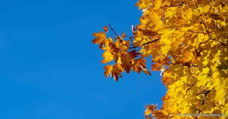 Goldener Oktober in Bayern: Große Temperaturunterschiede