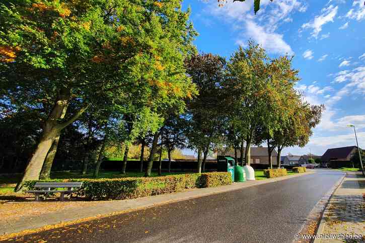 GEMEENTERAAD. Bocholt plaatst mobiele camera ’s tegen sluikstorten