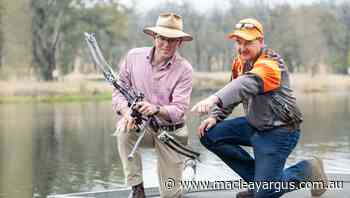 New rules put carp in the crosshairs of bowfishers - The Macleay Argus