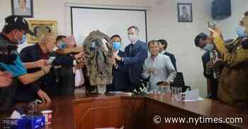 Citizen Activists Lead the Hunt for Antiquities Looted from Nepal
