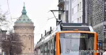 CDU-Kreisvorsitzender: Kein Parteiausschuss für Stadtrat Hornung - Mannheim - Rheinpfalz.de