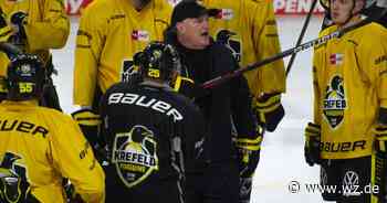 DEL: Krefeld Pinguine gegen Adler Mannheim - Alle Infos im Liveticker - Westdeutsche Zeitung