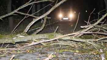 Sturm „Ignatz“ in Rhein-Neckar: Neckarauer Straße in Mannheim wieder geöffnet - mannheim24.de