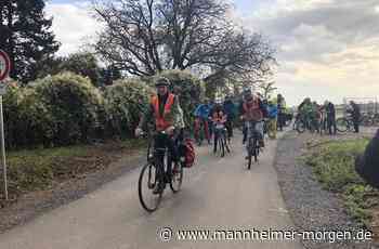 40 Millionen Euro für Radschnellweg zwischen Mannheim und Heidelberg - Region Rhein-Neckar - Mannheimer Morgen