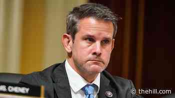 Kinzinger announces he won't seek reelection