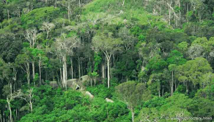 Why Carbon Hysteria And Decarbonization Policies Are Economically Insane