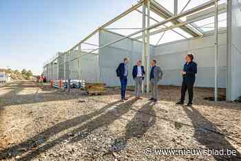 Bedrijvenpark Bergebeek verrijst aan vroegere Mylène-villa: “Bijna de helft van de KMO-units is ondertussen verkocht”