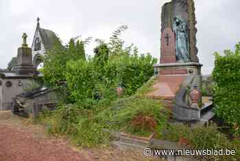 N-VA vraagt bescherming monumentale grafzerken: “Verhalen achter monumenten en kruisjes vertellen”