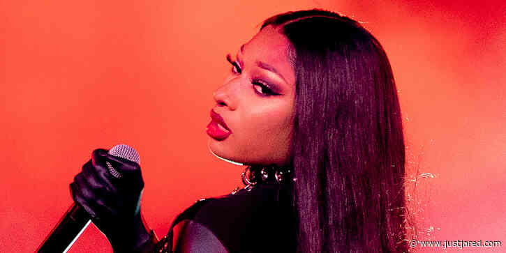 Megan Thee Stallion Drops 'Something for Thee Hotties' - Listen!
