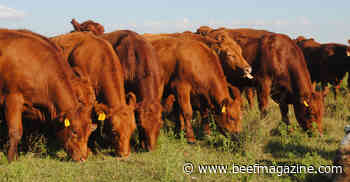 Livestock precision tech ripe for startups