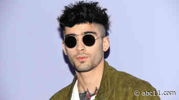 Zayn Malik pleads no contest to harassing girlfriend Gigi Hadid, mom