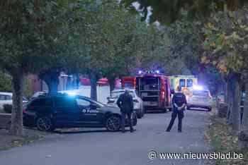 Politie massaal aanwezig voor dodelijk schietincident in Koersel