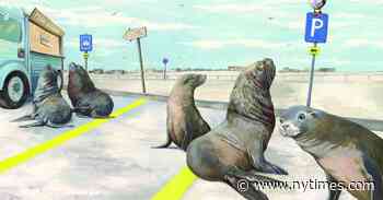 Two Children’s Books Offer Hope for the Environment