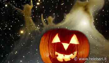 Bari, gli appuntamenti per Halloween in città tra laboratori per bimbi e spettacoli - Telebari