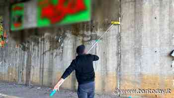 Sanzioni per i manifesti abusivi del circo a Bari, l'assessore Petruzzelli ai cittadini: "Segnalate affissioni non autorizzate" - BariToday