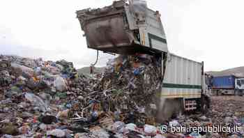 Bari, un tonno rosso da 40 chili al capo dei vigili per ottenere l'appalto dei rifiuti, E il tenente disse: "… - La Repubblica