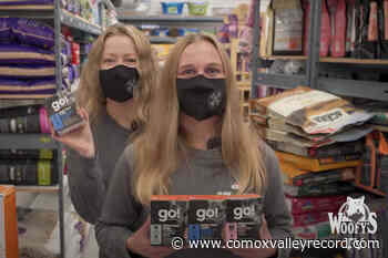 Doggone scratchy? Good thing it’s GO time! - Comox Valley Record