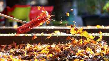 Laub abgeben in Garrel: Drei Termine für kostenlose Laubentsorgung - Nordwest-Zeitung