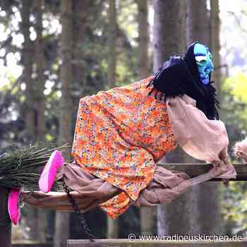 Hexen-Zauberwald in Hellenthal 06.11. - radioeuskirchen.de