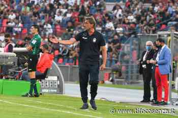 Avversari Cosenza, a Crotone la panchina di Modesto ha le ore contate - Tifo Cosenza
