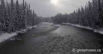 B.C. First Nation says it will protect land after arrests involving Coastal GasLink