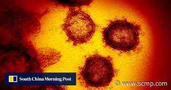 US report leaves open possibility Covid-19 resulted from lab incident - South China Morning Post