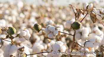 Baumwolle: Preisrally vor dem Ende?