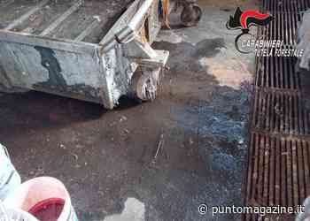 Ambiente, sequestrata azienda conceria a Solofra - Punto!