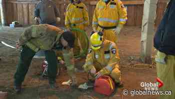 Group training First Nation and Métis firefighters after 4-year hiatus