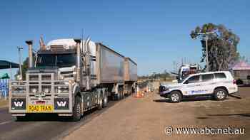 Queensland facing critical skills shortage as workers quit rather than get vaccinated
