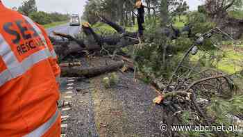 Victorians warned they could remain without power into next week after violent storms