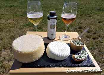 Fare la spesa con il 100% dei prodotti locali: alla Fattoria Prato delle Cicogne solo alimenti genuini, dal salato al dolce - newsbiella.it