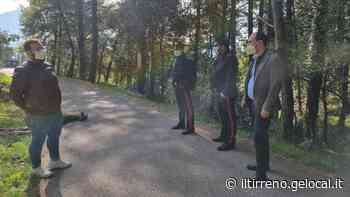 Cervo sbranato dai lupi alle porte di Montemurlo - Il Tirreno