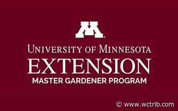 Master Gardener Sue Morris: What worked, what didn't in 2021 for west central Minnesota gardeners - West Central Tribune