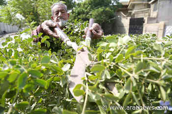 Gardener plants 4000 trees in Pakistan in bid to help mitigate climate change - Arab News