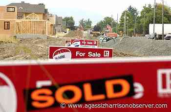 BC Real Estate Association predicts record-setting totals in Chilliwack market – Agassiz Harrison Observer - Agassiz Harrison Observer