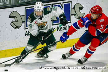 Chilliwack Chiefs acquire veteran defenceman Jordan Chudley – Agassiz Harrison Observer - Agassiz Harrison Observer