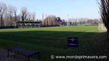LIVE - Primavera 2, Cremonese-Parma: formazioni, cronaca e risultato - Mondoprimavera