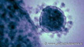 In salita i nuovi contagi a Parma +34. Un decesso - Gazzetta di Parma