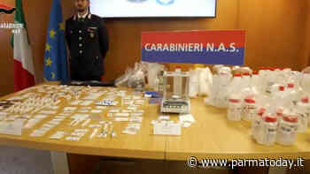Droga dello stupro venduta sul dark Web, blitz dei Nas di Parma: 39 arresti - ParmaToday