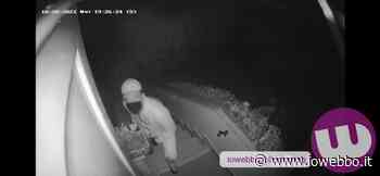 SORA - ONDATA DI FURTI, ECCO I LADRI IN AZIONE (VIDEO) - ioWebbo