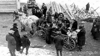 Österreich I – Vom Siegen und Sterben im TV - Sendung - TV SPIELFILM - TV Spielfilm