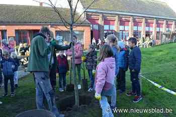 Vrij basisschool plant gedenkboom voor Saartje (11), die aan leukemie overleed