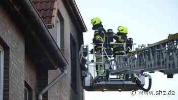 Feuerwehreinsatz in Schenefeld: Katze stirbt bei Wohnungsbrand an der Distelkoppel | shz.de - shz.de