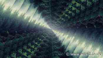 Missing forests are messing with climate targets